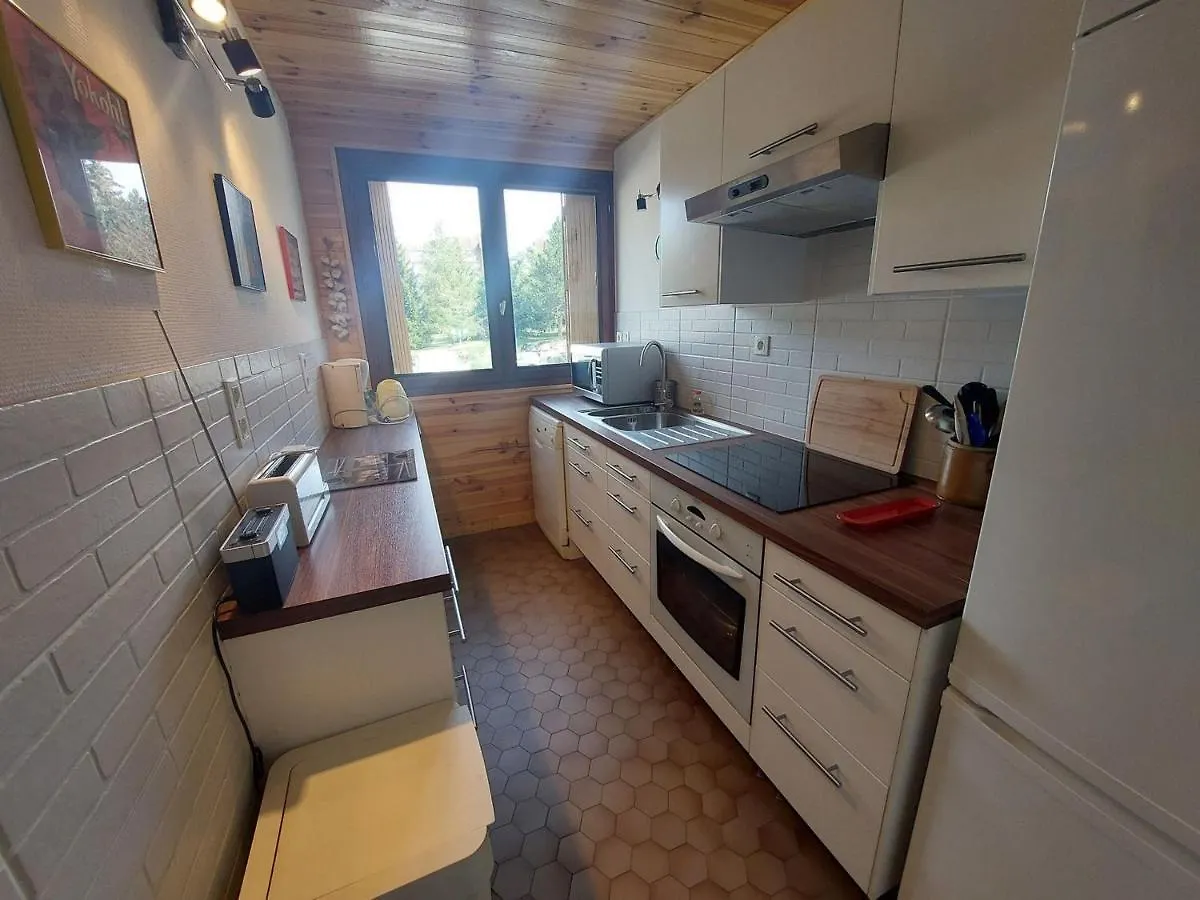 Appartement Cosy, Centre Station, Balcon, 6 Pers., Proche Des Pistes Et Commerces - Fr-1-516-192 Les Deux Alpes 0*,