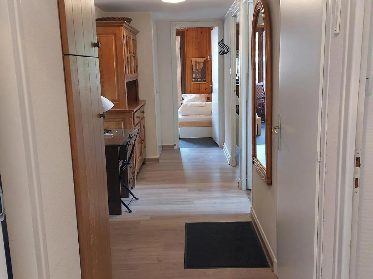 Apartment Appartement Cosy, Centre Station, Balcon, 6 Pers., Proche Des Pistes Et Commerces - Fr-1-516-192 Les Deux Alpes France